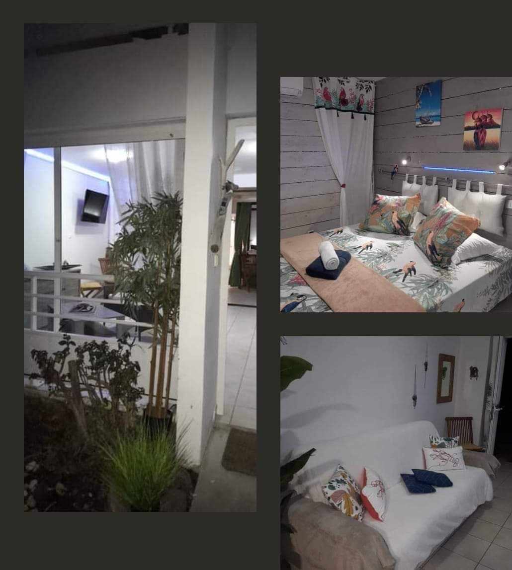 Logement Colibri Plezi